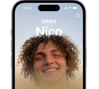 营口苹果15服务站分享iPhone15实时语音留言开启方法 